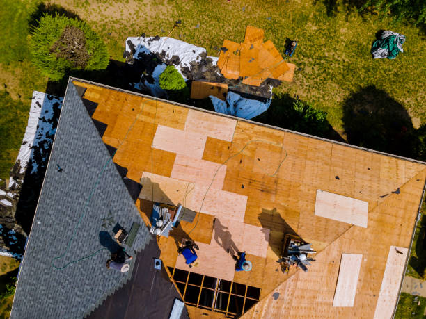 Best Storm Damage Roof Repair  in Amherst, TX